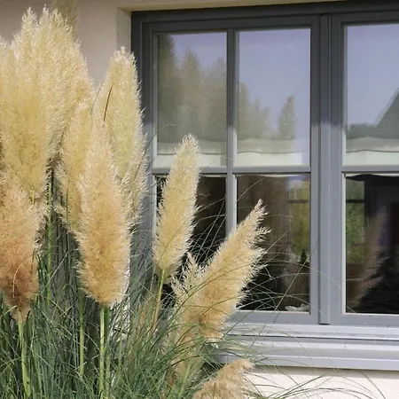 Dom wakacyjny Reethaus Groß Schwansee