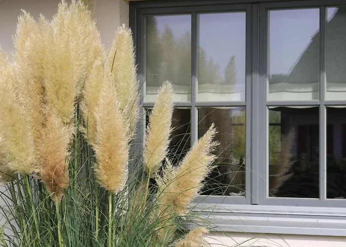 Hébergement de vacances Reethaus Groß Schwansee